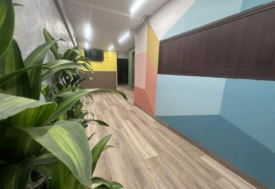 Hallway with plants and colorful walls.
