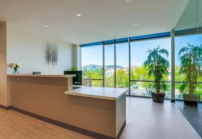 Modern reception desk with a minimalist design and large windows overlooking trees.