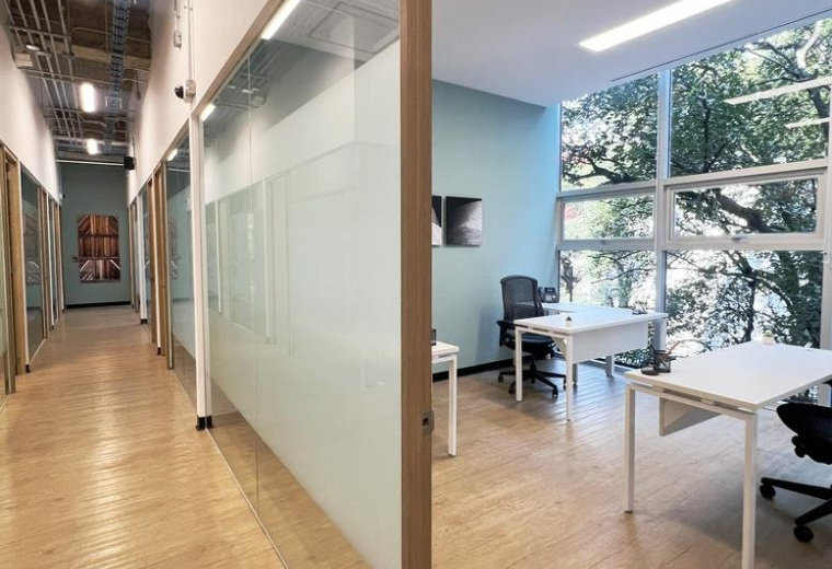 San Miguel Chapultepec II Sección, Miguel Hidalgo, Mexico City