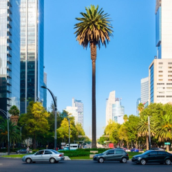 Paseo de la Reforma in Mexico City