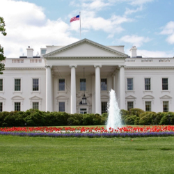 The White House