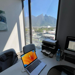 255, Avenida Alfonso Reyes office suites