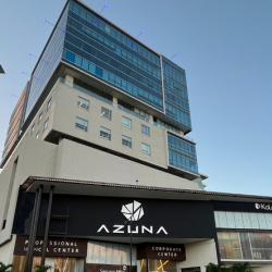 Offices at 30, Avenida Antonio Enríquez Savignac, Piso 11