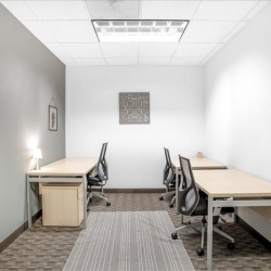 303 Twin Dolphin Drive, 6th Floor executive office centres