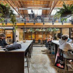 Shared workspace with high-top desks and hanging plants.