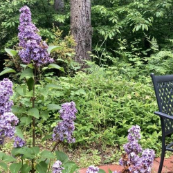 Serviced offices to rent in 