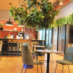 Executive office centre - Mexico City