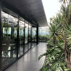 Offices at Plaza Villa Madrid no. 1, Roma Norte, Cuauhtémoc