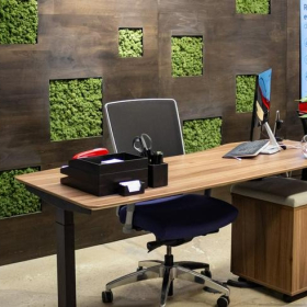 Exterior view of 1660 Soldiers Field Road. Click for details.