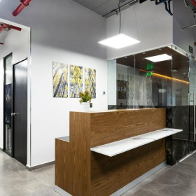 Executive offices to let in Mexico City. Click for details.