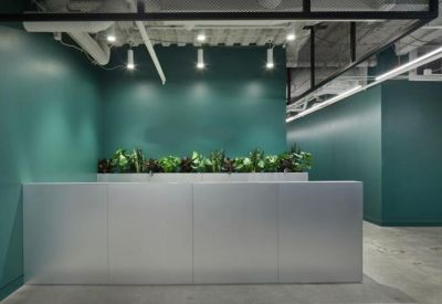 Sleek minimalist reception desk backed by a teal wall and a long planter box with lush greenery.