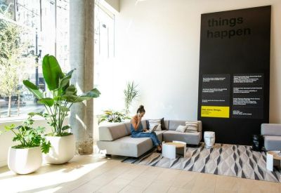 Bright reception waiting area with indoor plants and a large informational wall graphic.