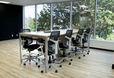 Meeting room with a long table and black chairs overlooking large windows and green trees.