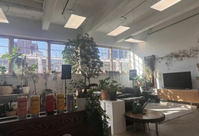 Cozy breakout space with lush greenery, comfortable seating, and a large screen.