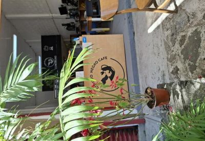 Indoor view of a wooden counter featuring a branded rabbit logo and a small plant.