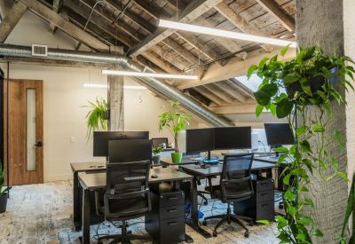 Open-plan workspace featuring black desks and ergonomic chairs under a vaulted timber ceiling.