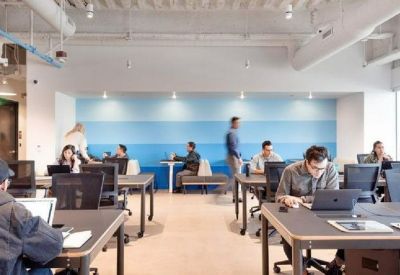 Open-plan office with multiple rows of black desks and a blue feature wall.