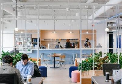 Modern office café and kitchen area with a blue counter and indoor plants.