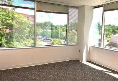 Sunlit empty private office with large windows overlooking trees and a gray carpet.