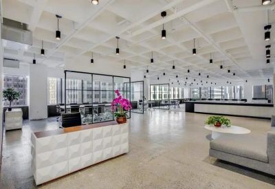 Spacious reception area with white textured desk, wood accents, and purple orchids.