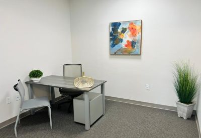 Private office featuring a gray desk, colorful abstract wall art, and a potted plant.
