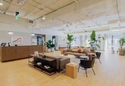 Spacious reception lounge with a wood-paneled front desk, plush sofas, and large potted plants.