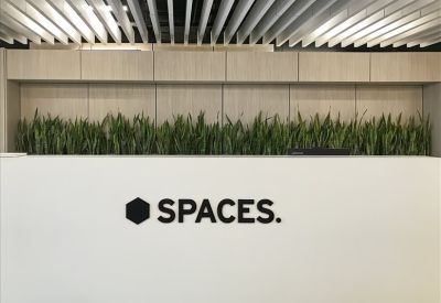 Reception area with SPACES logo and indoor plants.