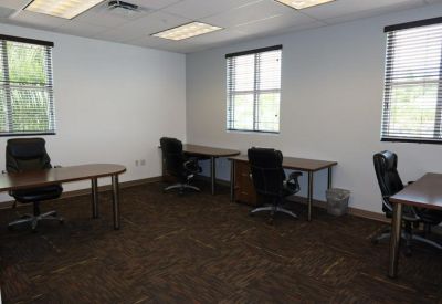 Spacious shared office with four dark wood desks and ergonomic chairs.