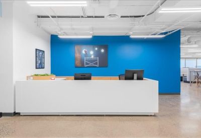 Minimalist white reception desk set against a bold blue feature wall.
