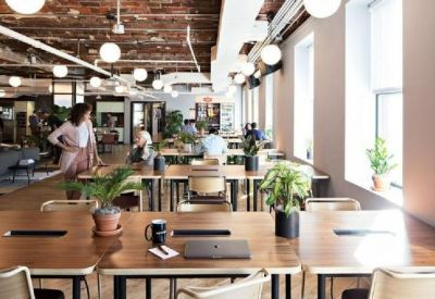 Open-plan workspace with long wooden tables, indoor plants, and large windows for natural light.