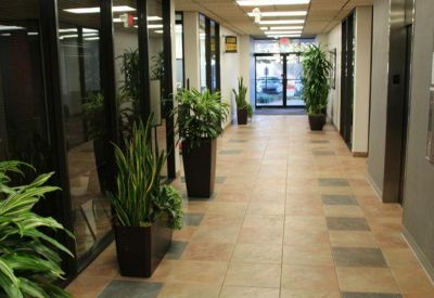 Sunlit corridor featuring potted plants and tile flooring.