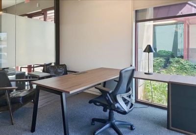 Modern private office with a wooden desk and large window showing greenery.