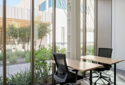 Bright workspace featuring wooden desks and black ergonomic chairs facing lush green plants through glass walls.