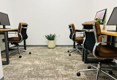 Close-up of leather office chairs and workstations with a small potted plant.