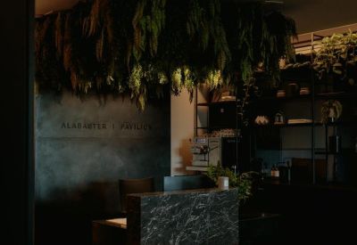 Modern reception desk featuring dark marble and a lush hanging plant installation.