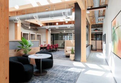 Lounge area with black velvet armchairs, large potted plant, and exposed timber ceiling.
