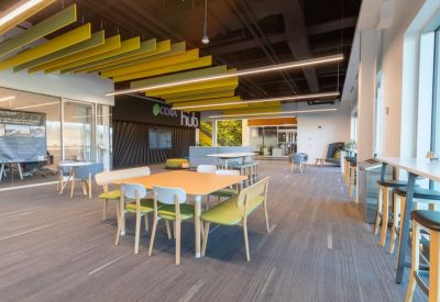 Bright coworking hub with vibrant yellow acoustic ceiling baffles and colorful modern seating.