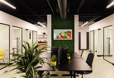 Open-plan office with black desks, ergonomic chairs, and a vibrant green moss feature wall.