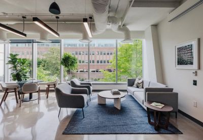 Sunlit lounge area with grey armchairs, a blue patterned rug, and floor-to-ceiling windows.