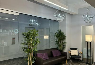 Lounge area with a dark sofa, purple cushions, and indoor plants by a glass wall.