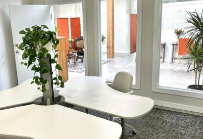 Shared workspace with curved white desks and a potted plant.