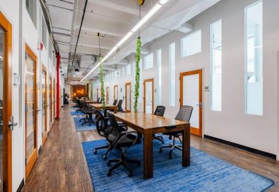 Sunlit corridor featuring communal work tables on blue rugs and glass-fronted offices.