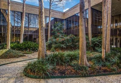 Lush interior courtyard with tall trees and green plants seen through large windows.