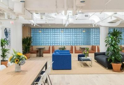 Modern lounge with blue sofas, potted plants, and a glass-block feature wall.