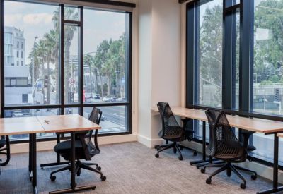 Workspace with light wood desks and ergonomic chairs overlooking a street with palm trees.