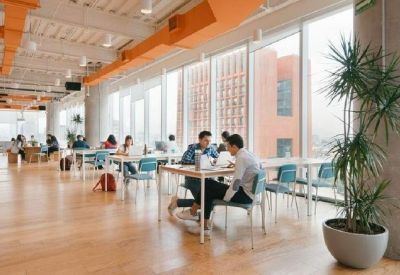 Bright open-plan cafe area with white tables, blue chairs, and a large indoor plant.