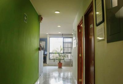 Office corridor featuring a bright green accent wall and potted plant.