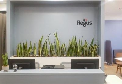 Bright reception desk area with a wall of green snake plants.