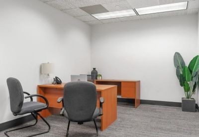Spacious two-desk private office with grey carpeting and a large potted plant.