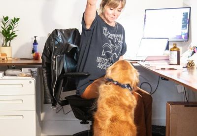 Bright private office suite with a person working at a desk alongside a golden retriever.